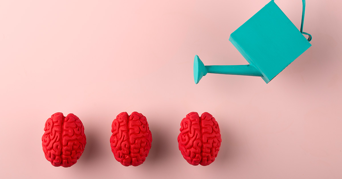 Kişisel Gelişim Testi - TestEd Kariyer Haritası